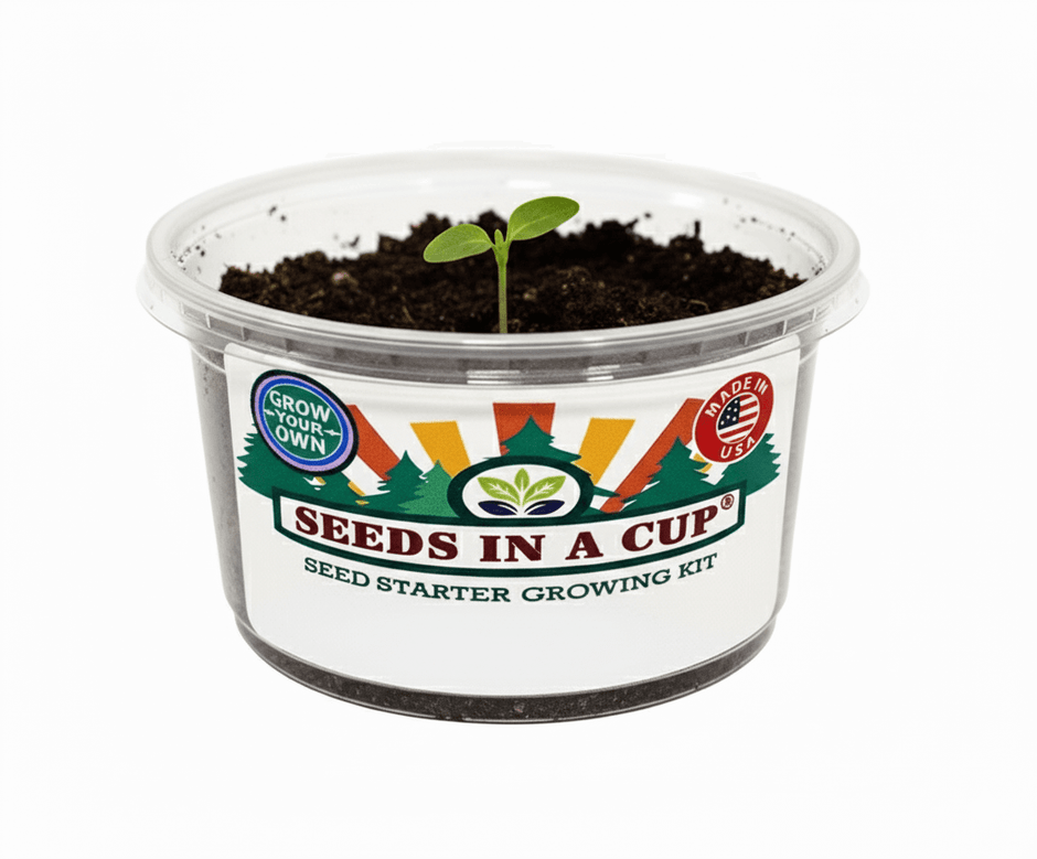 Cucumber Grow Kit