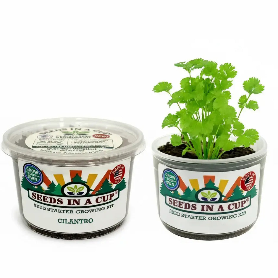Cilantro Grow Kit