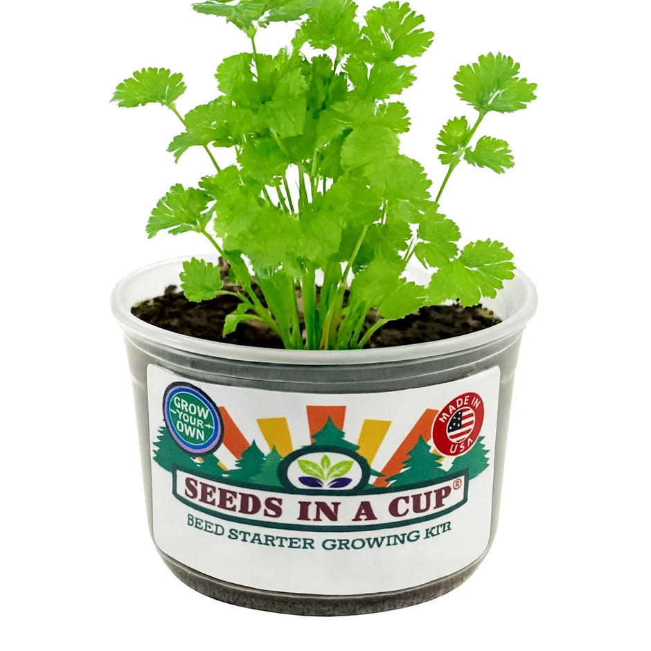 Cilantro Grow Kit