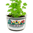 Cilantro Grow Kit