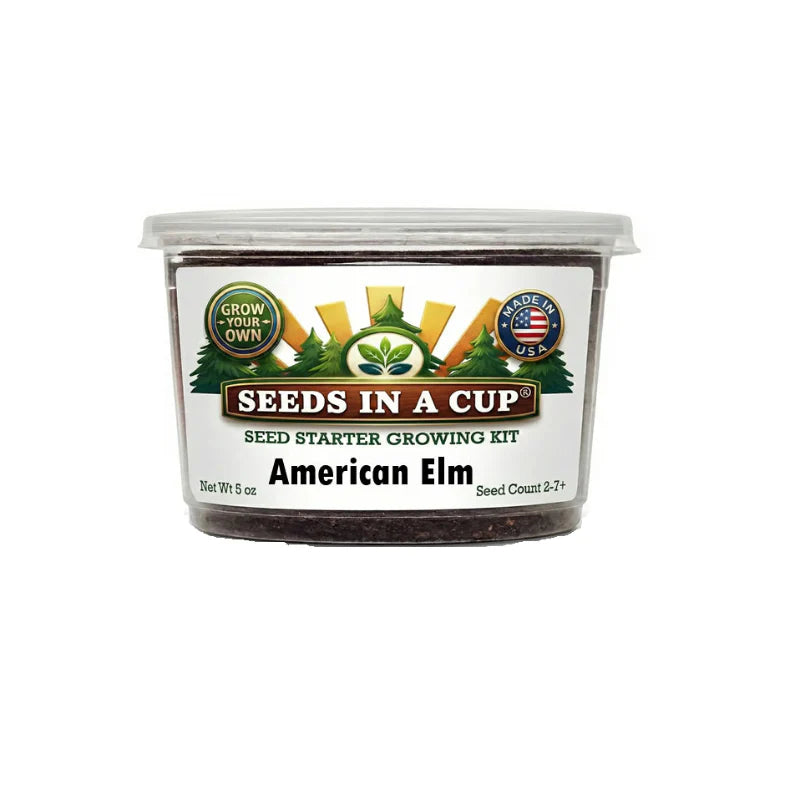 American Elm Tree Grow Kit