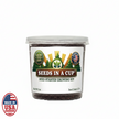 American Elm Tree Grow Kit