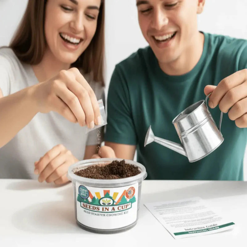 American Elm Tree Grow Kit