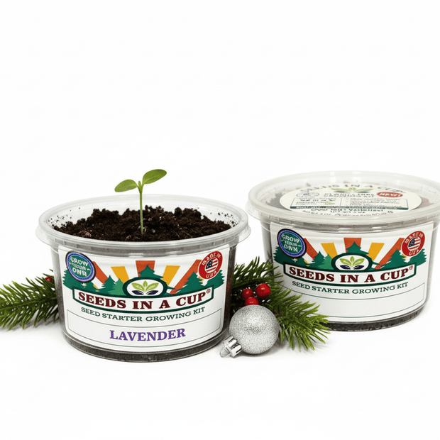 Lavender Grow Kit