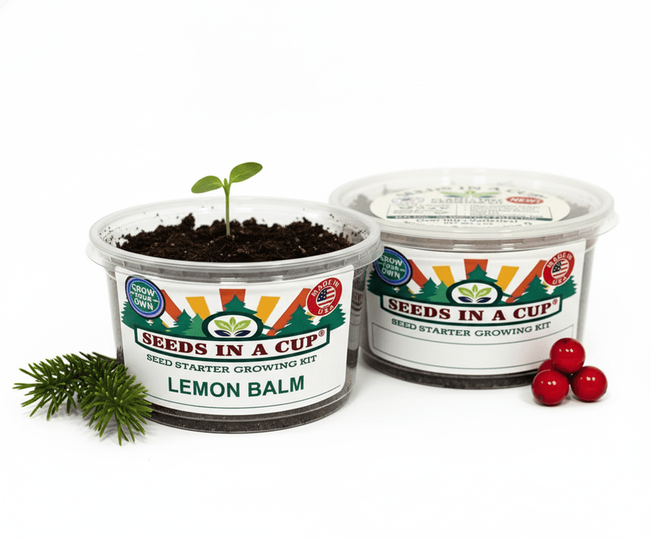 Lemon Balm Grow Kit