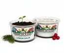 Lemon Balm Grow Kit