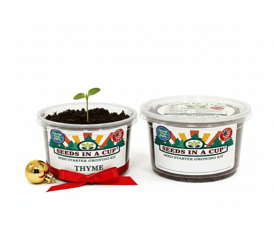 Oregano Grow Kit