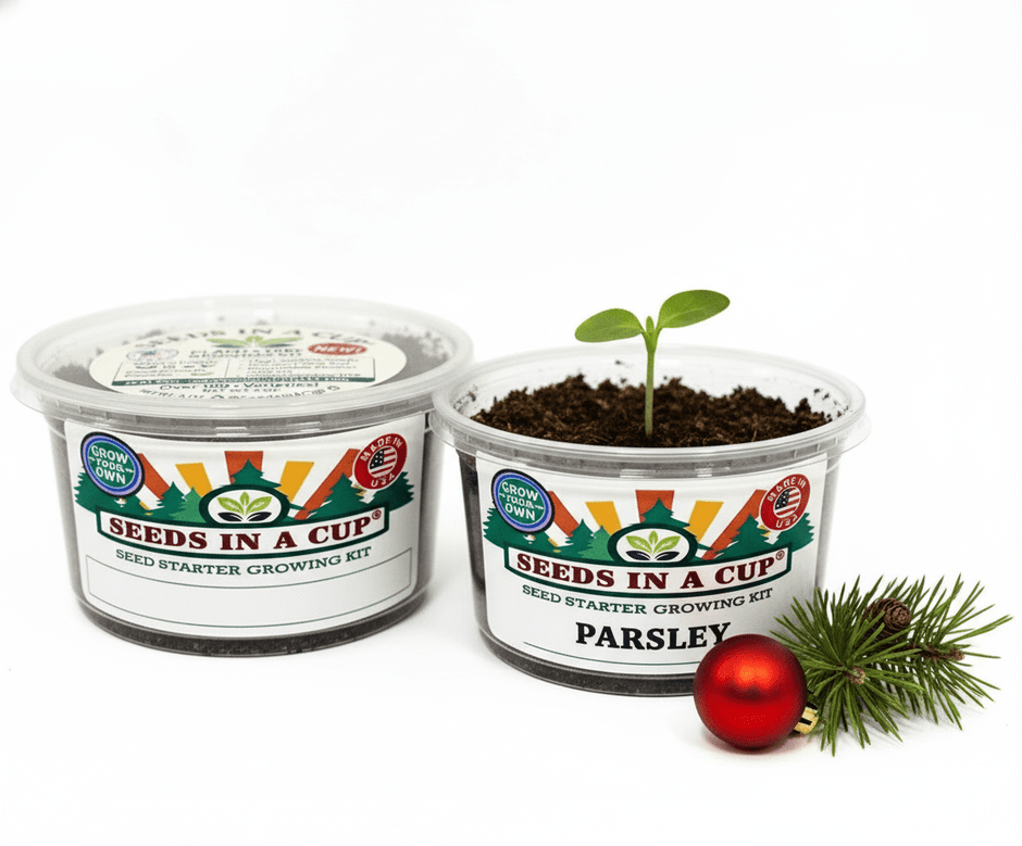 Parsley Grow Kit