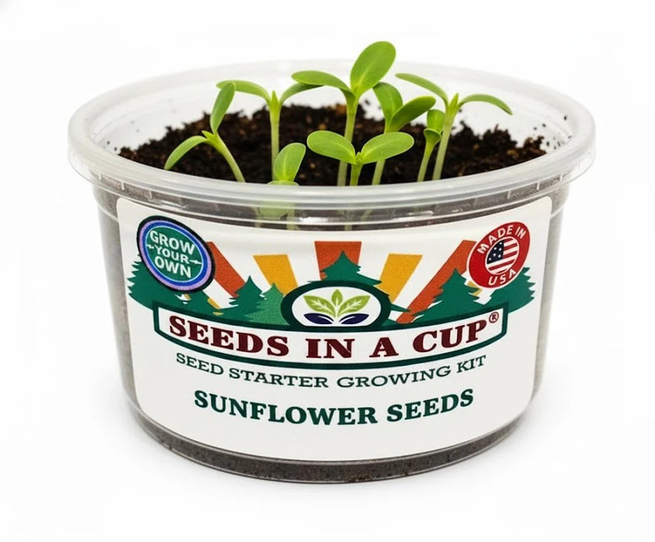 Sunflower Grow Kit