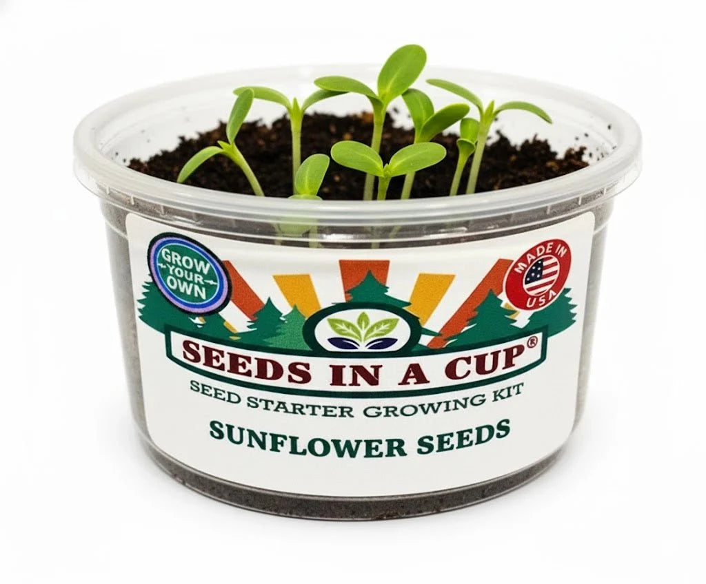 Sunflower Grow Kit