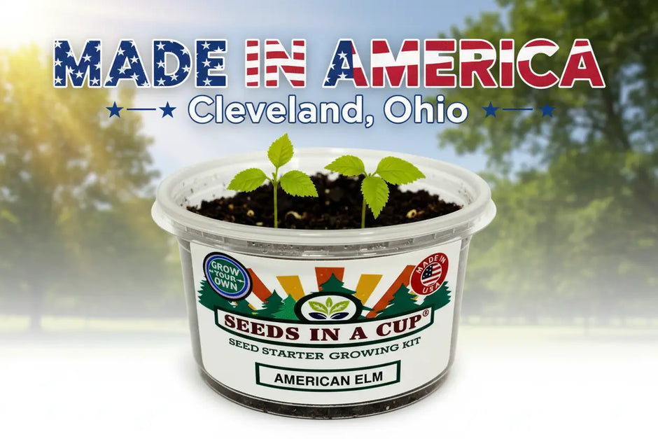 Kids Discovery Garden Kit | Educational STEM Seed Starter