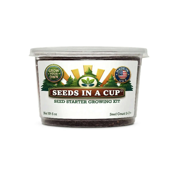 American Elm Tree Grow Kit