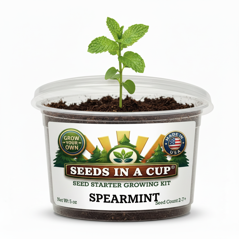 Spearmint Grow Kit