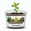 Spearmint Grow Kit